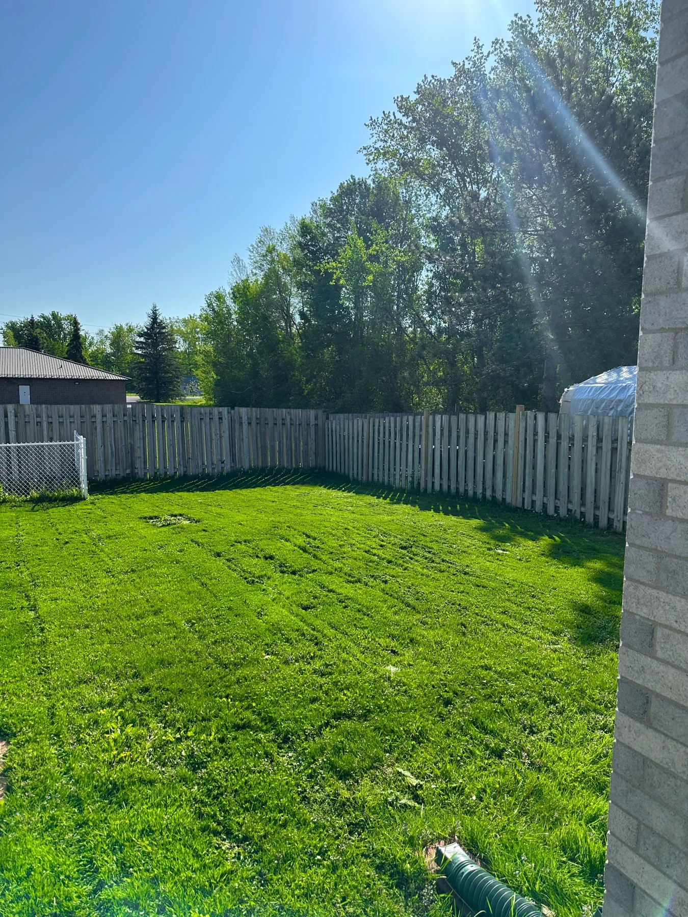Freshly cut backyard near Cornwall after Walkers Landscaping lawn service