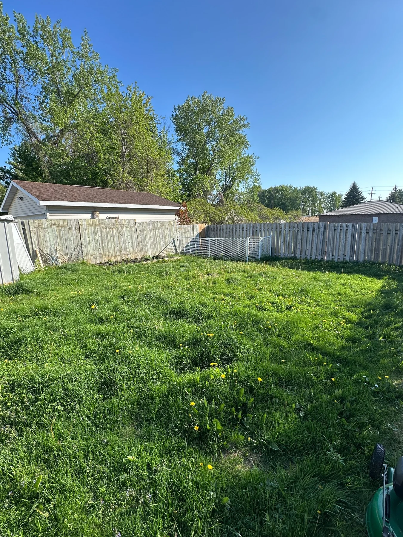 Long backyard grass near Cornwall before lawn service
