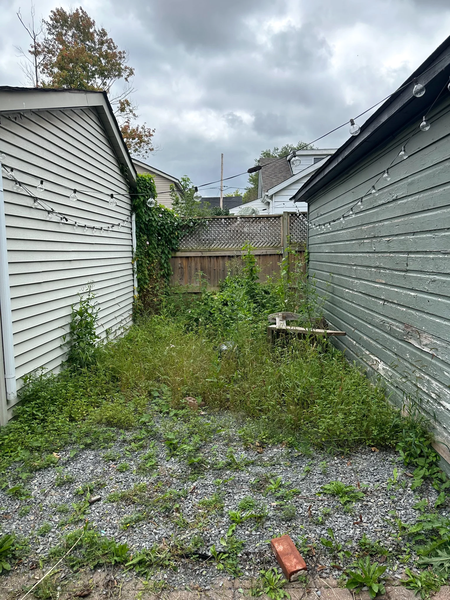Overgrown side yard in Cornwall before Walkers Landscaping cleanup